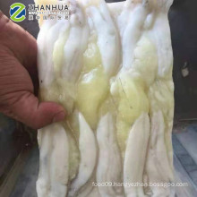 processing squid eggs from Illex squid 400-600g